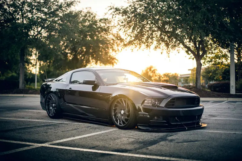Window Tint